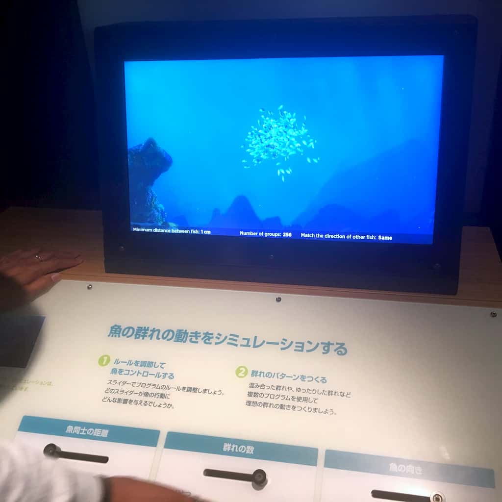 Simulation of a school of fish