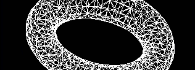 software-renderer project banner